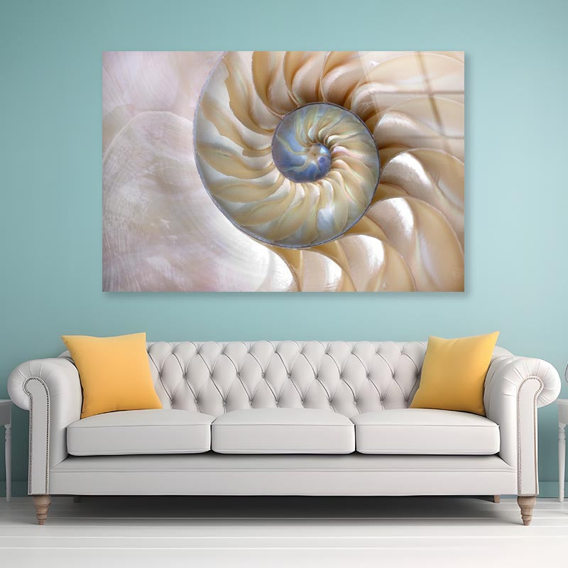 Amazing Fibonacci Pattern in A Nautilus Shell Acrylic Glass Print Tempered Glass Wall Art 100% Made in Australia Ready to Hang