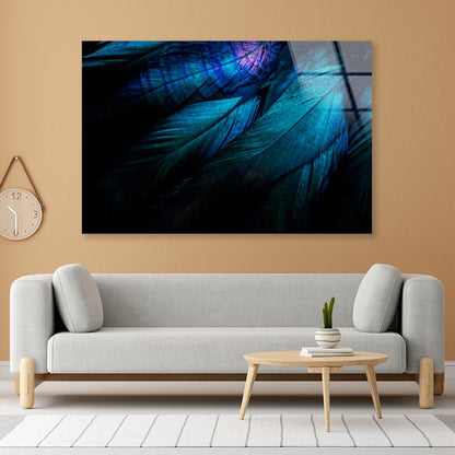 Stylish Dark Feather  Acrylic Glass Print Tempered Glass Wall Art 100% Made in Australia Ready to Hang