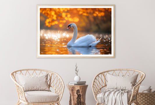 Swans on Autumn Pond View Home Decor Premium Quality Poster Print Choose Your Sizes