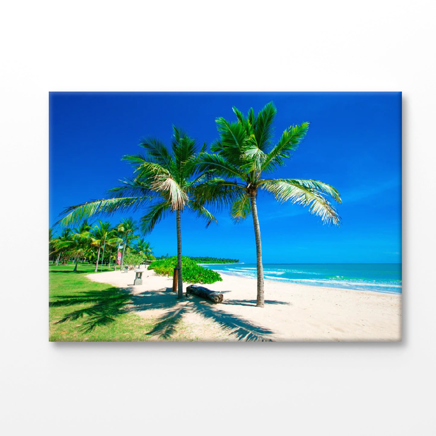 Bella Home Untouched Tropical Beach in Sri Lanka Print Canvas Ready to hang