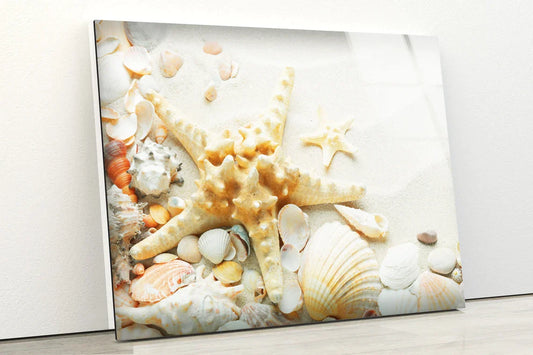 Sea Shells on Sand UV Direct Aluminum Print Australian Made Quality