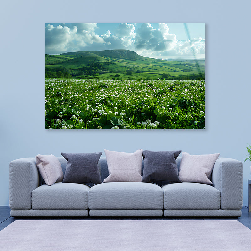 Field with Blue Sky View Acrylic Glass Print Tempered Glass Wall Art 100% Made in Australia Ready to Hang