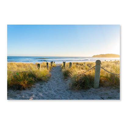 Bollards And Grassy Dunes Leading to Beach Acrylic Glass Print Tempered Glass Wall Art 100% Made in Australia Ready to Hang