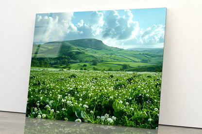 Field with Blue Sky View Acrylic Glass Print Tempered Glass Wall Art 100% Made in Australia Ready to Hang