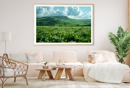 Field with Blue Sky View Home Decor Premium Quality Poster Print Choose Your Sizes