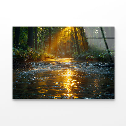 River in the Forest Acrylic Glass Print Tempered Glass Wall Art 100% Made in Australia Ready to Hang