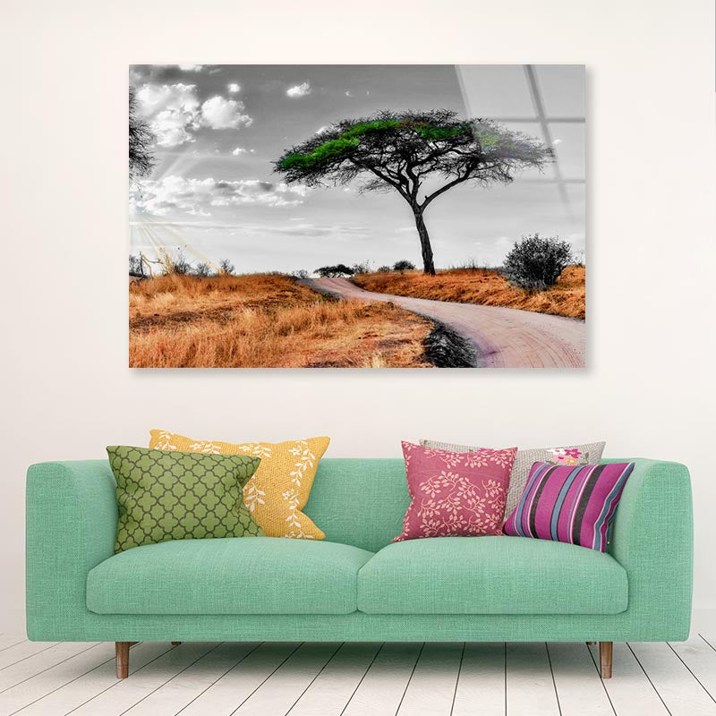 Green Tree with Meadow Road Acrylic Glass Print Tempered Glass Wall Art 100% Made in Australia Ready to Hang