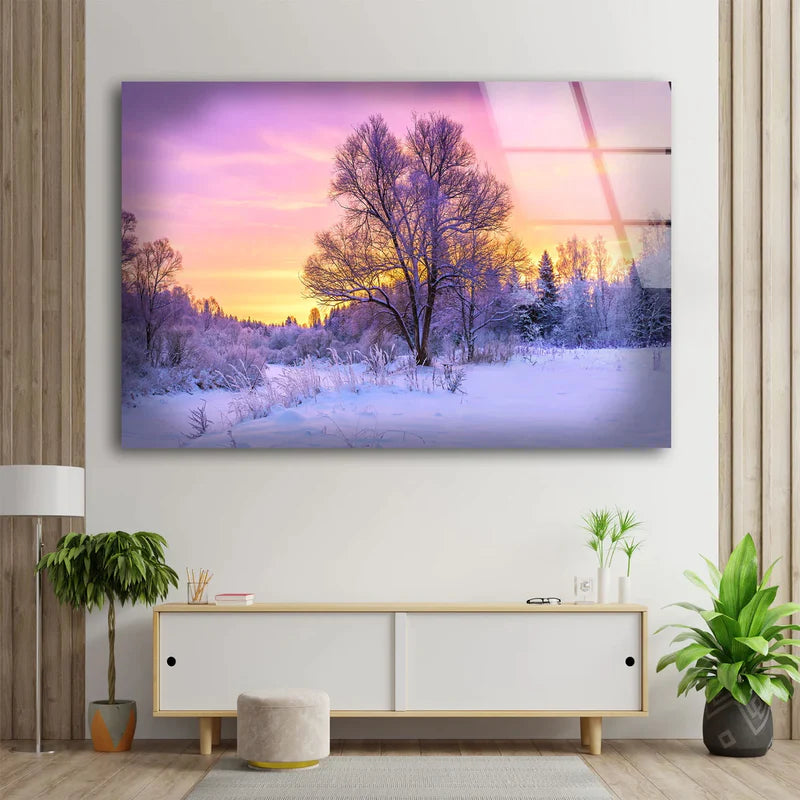 Snow Covered Trees UV Direct Aluminum Print Australian Made Quality