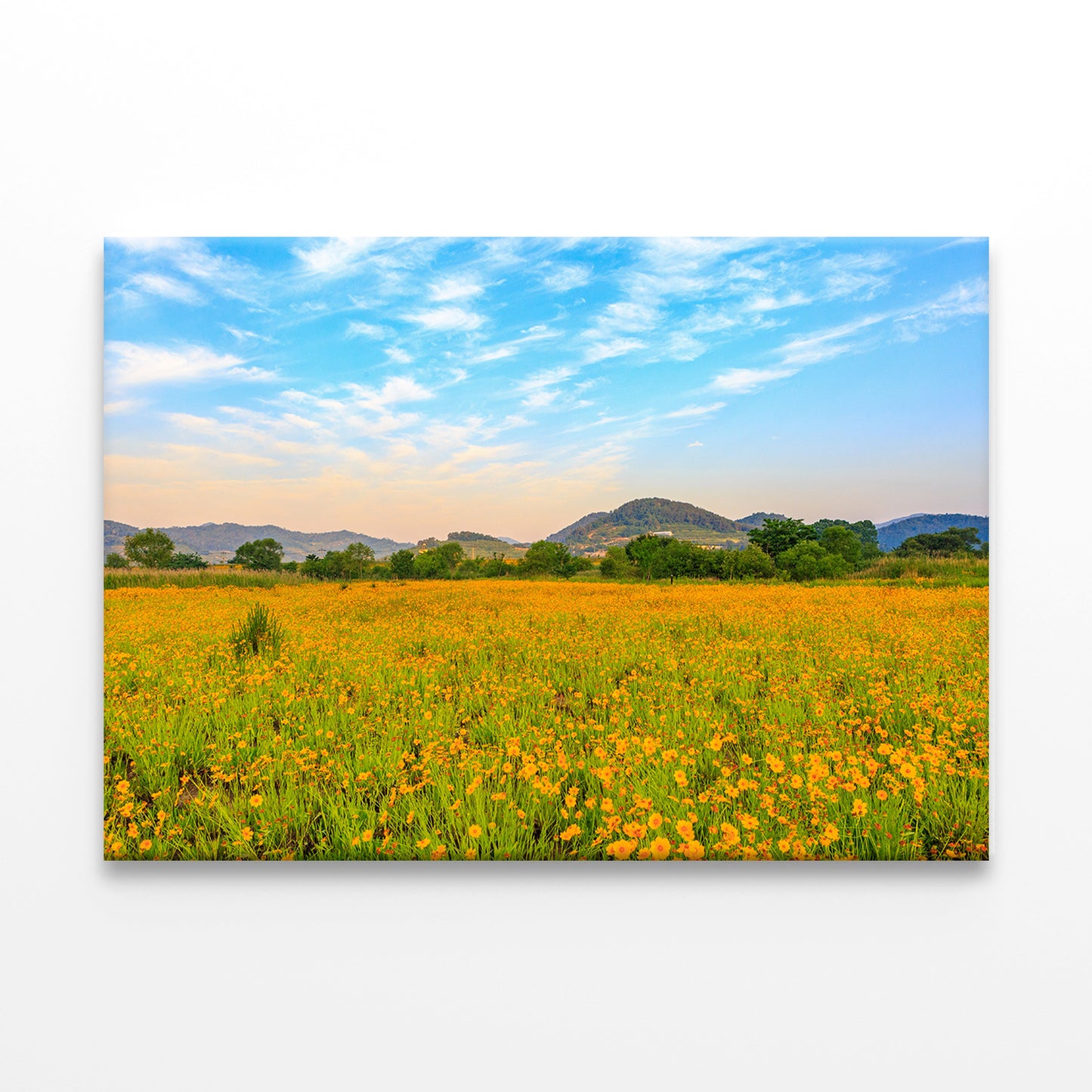 Spring Scenery of Buk-myeon Park Wall Art Decor 100% Australian Made