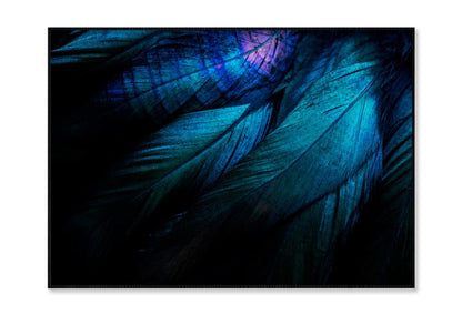 Stylish Dark Feather Home Decor Premium Quality Poster Print Choose Your Sizes