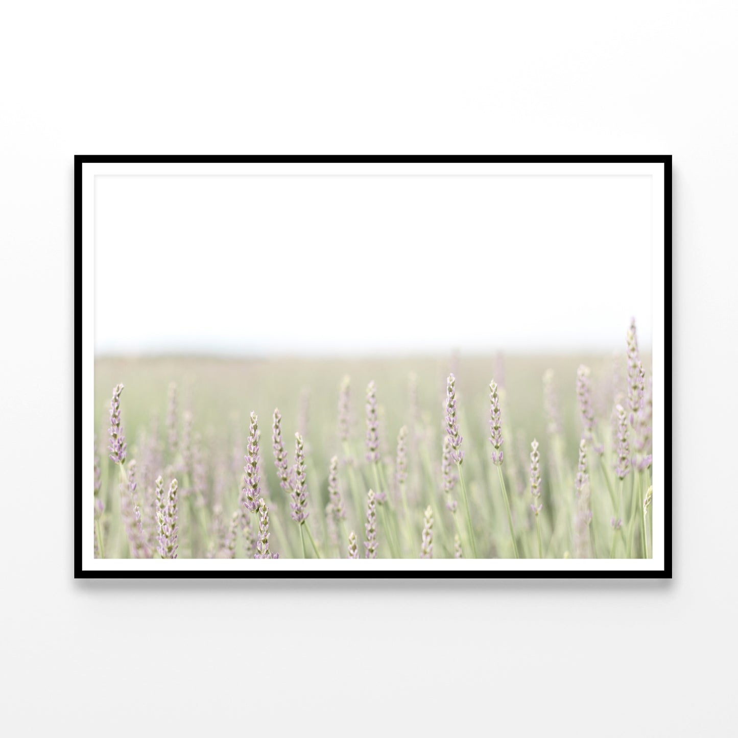 A Field Of Lavender with Grass and Plants Home Decor Premium Quality Poster Print Choose Your Sizes