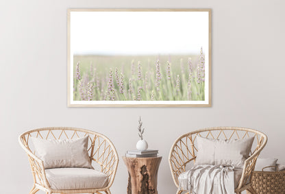 A Field Of Lavender with Grass and Plants Home Decor Premium Quality Poster Print Choose Your Sizes