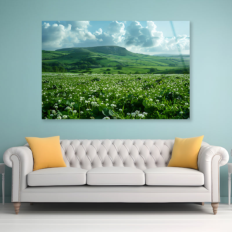 Field with Blue Sky View Acrylic Glass Print Tempered Glass Wall Art 100% Made in Australia Ready to Hang