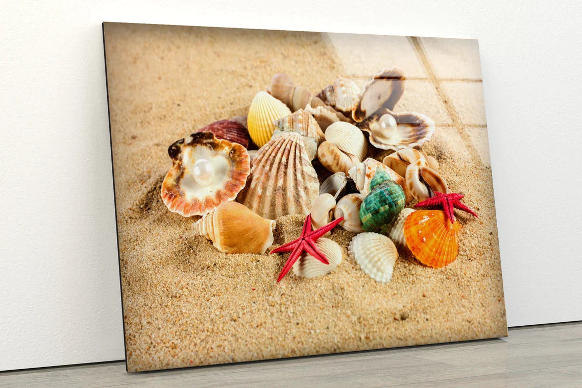 Sea Shells on Sand UV Direct Aluminum Print Australian Made Quality