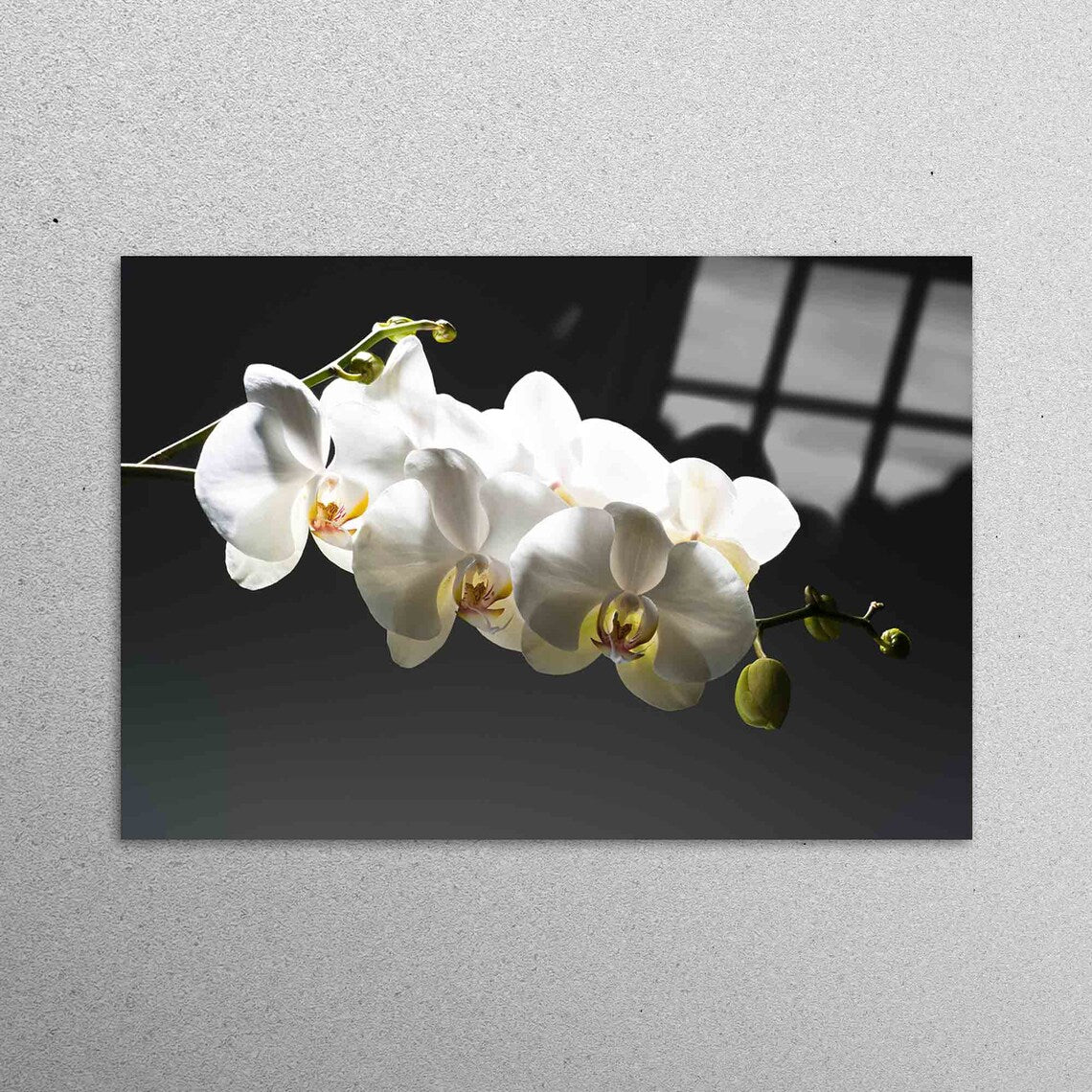 Flower Lover Gift Acrylic Glass Print Tempered Glass Wall Art 100% Made in Australia Ready to Hang