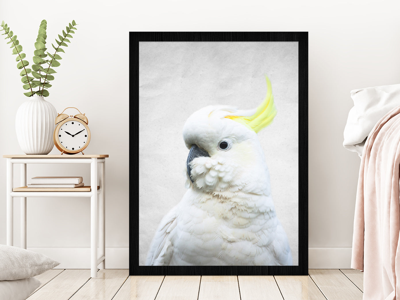 White Macaw Bird Faded Closuep Photograph Glass Framed Wall Art, Ready to Hang Quality Print Without White Border Black