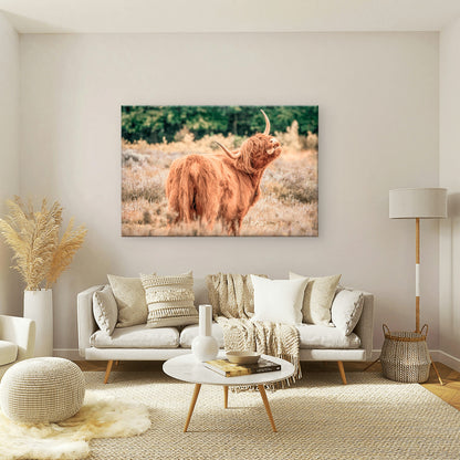 Majestic Highland Cow Rustic Farmhouse Scottish Animal Wall Art Decor 100% Australian Made