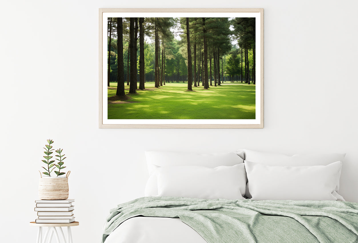 Pine Trees Line the Forest Home Decor Premium Quality Poster Print Choose Your Sizes