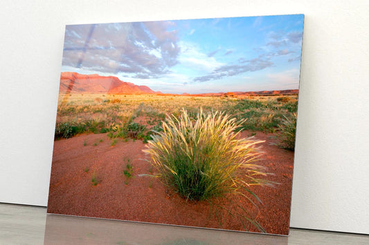 Grassland Landscape with Mountains Acrylic Glass Print Tempered Glass Wall Art 100% Made in Australia Ready to Hang