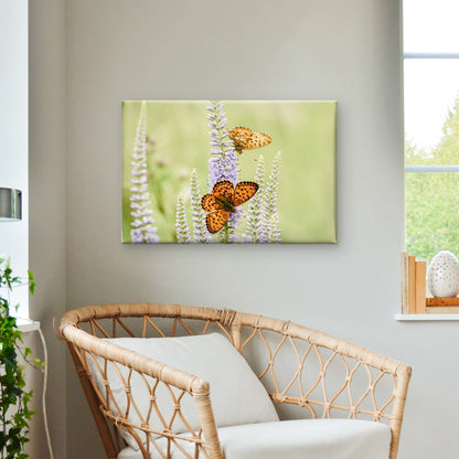 Soft Green and Purple Orange Butterfly and Lavender Flower Wall Art Decor 100% Australian Made