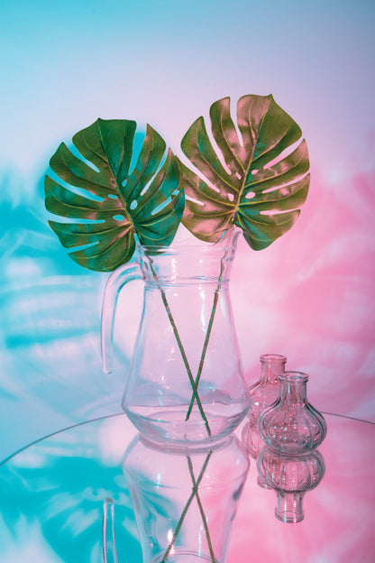 Two Green Leaves in A Clear Vase on A Table Portrait Photograph Acrylic Glass Print Tempered Glass Wall Art 100% Made in Australia Ready to Hang