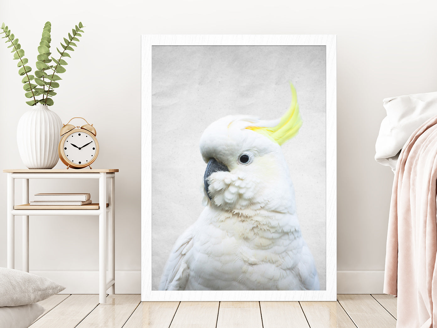 White Macaw Bird Faded Closuep Photograph Glass Framed Wall Art, Ready to Hang Quality Print Without White Border White