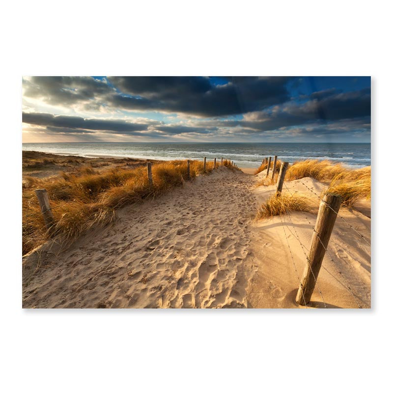 Sand Path to North Sea Beach, Holland Acrylic Glass Print Tempered Glass Wall Art 100% Made in Australia Ready to Hang