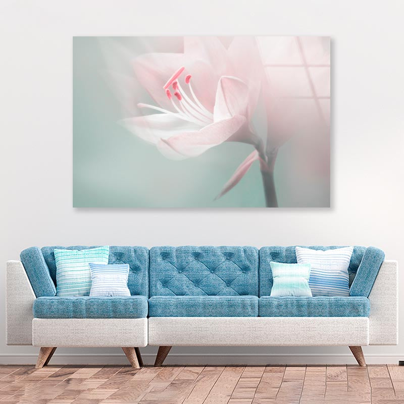 Single Dreamy Surreal White Flower Acrylic Glass Print Tempered Glass Wall Art 100% Made in Australia Ready to Hang