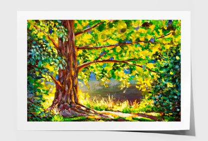 A Large Tree Lit By Sun & Sunny Forest Oil Painting Limited Edition High Quality Print Unframed Roll Canvas None