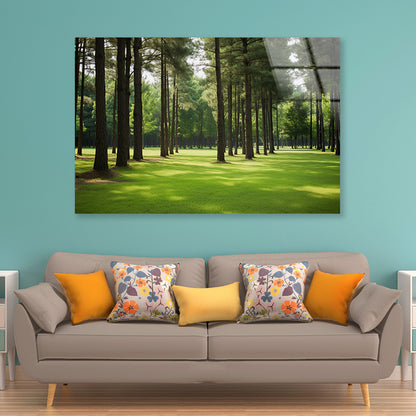 Pine Trees Line the Forest Acrylic Glass Print Tempered Glass Wall Art 100% Made in Australia Ready to Hang