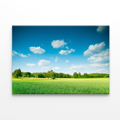 A Large Green Field with Trees under a Blue Sky Print 100% Australian Made