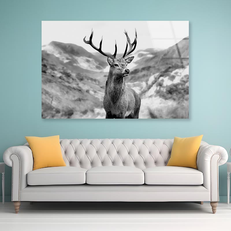 Black & white Deer Acrylic Glass Print Tempered Glass Wall Art 100% Made in Australia Ready to Hang