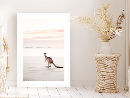 Kangaroo near Sea Faded Photograph Glass Framed Wall Art, Ready to Hang Quality Print With White Border White