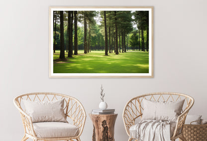 Pine Trees Line the Forest Home Decor Premium Quality Poster Print Choose Your Sizes