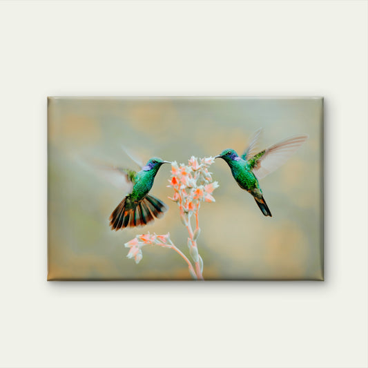 Hummingbirds Feeding from A Flowering Vintage Close-Up View Wall Art Decor 100% Australian Made