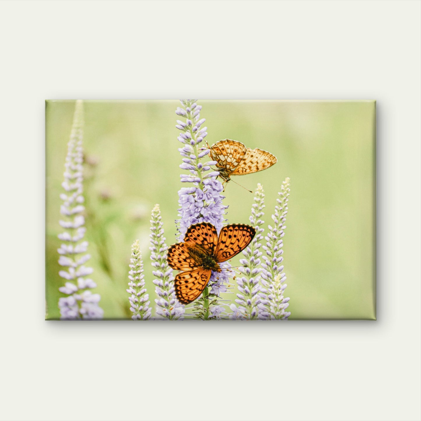 Soft Green and Purple Orange Butterfly and Lavender Flower Wall Art Decor 100% Australian Made