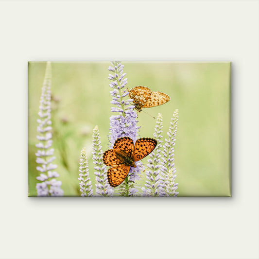 Soft Green and Purple Orange Butterfly and Lavender Flower Wall Art Decor 100% Australian Made