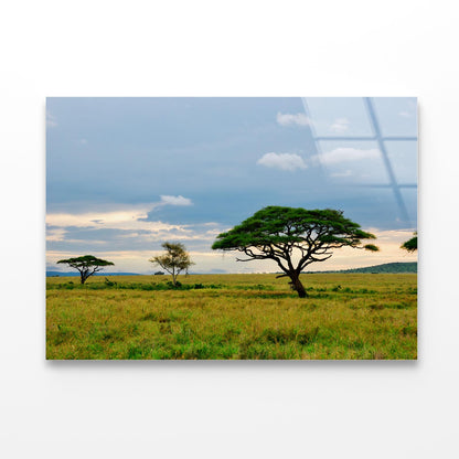 National Park with Mountains Tanzania Africa Acrylic Glass Print Tempered Glass Wall Art 100% Made in Australia Ready to Hang