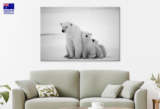 Black and Snowy Polar She-bear with Cubs Wall Art Decor 100% Australian Made