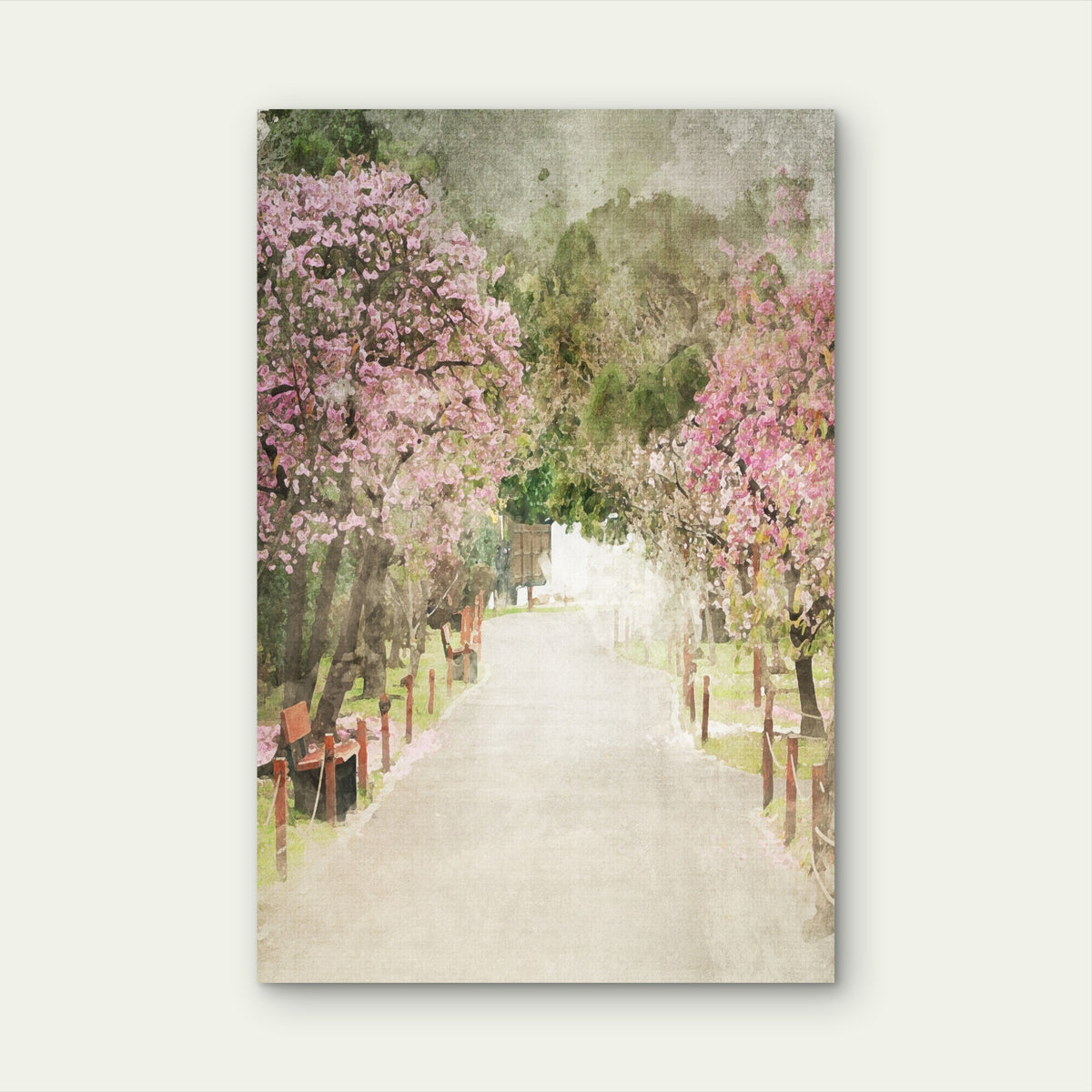 Pink Cherry Blossom Park Path 60x90cm Metal Print Ready to Hang