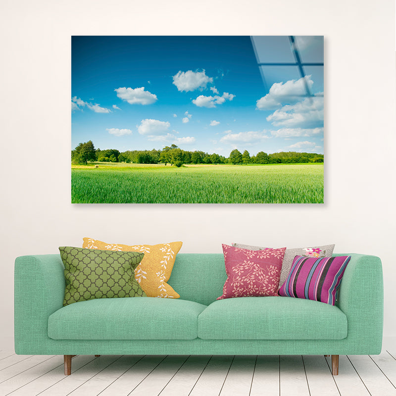 A Large Green Field with Trees under a Blue Sky Acrylic Glass Print Tempered Glass Wall Art 100% Made in Australia Ready to Hang