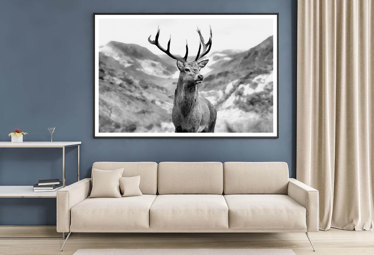 Black & white Deer Decor Premium Quality Poster Print Choose Your Sizes