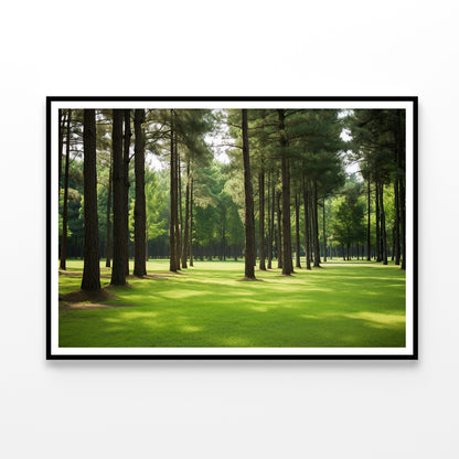 Pine Trees Line the Forest Home Decor Premium Quality Poster Print Choose Your Sizes