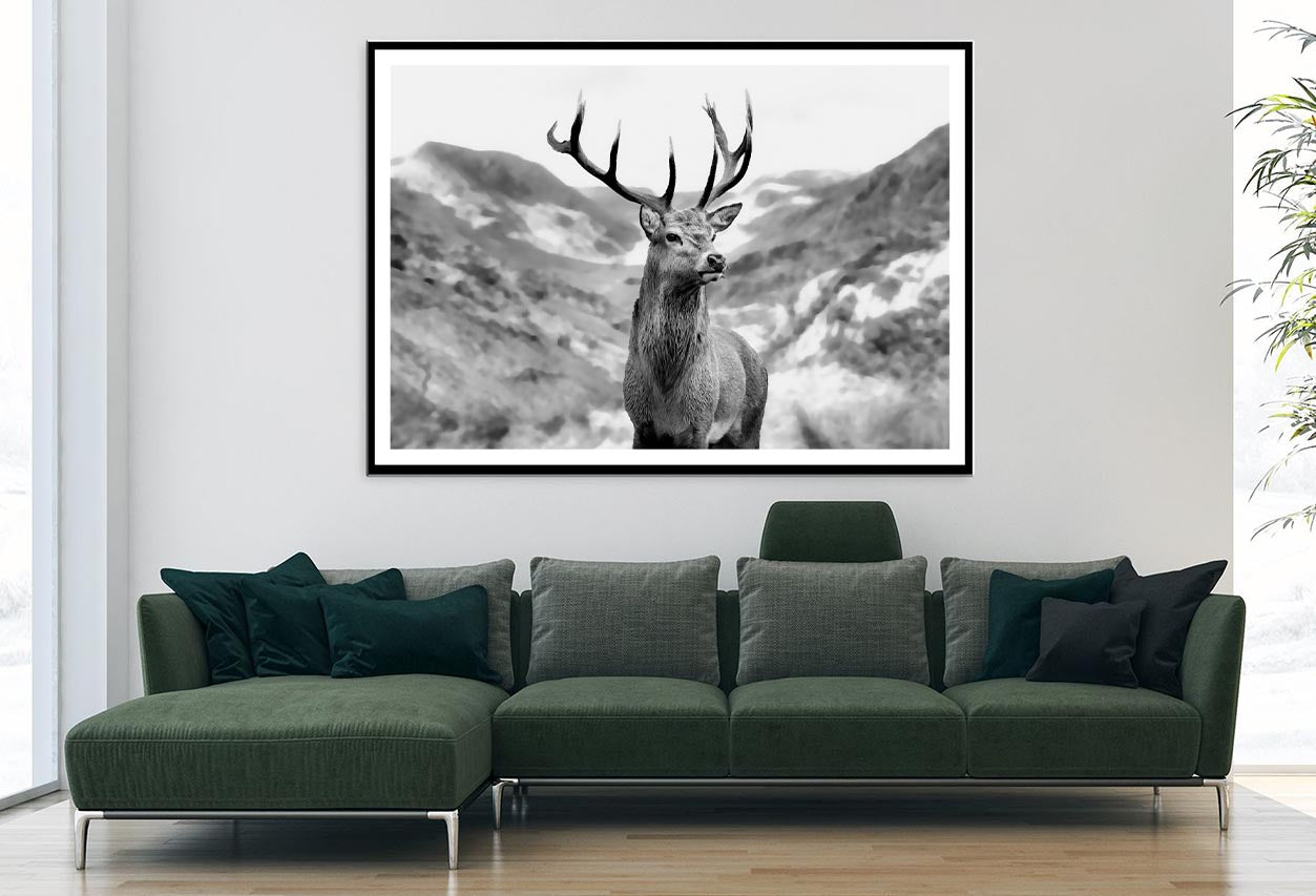 Black & white Deer Decor Premium Quality Poster Print Choose Your Sizes