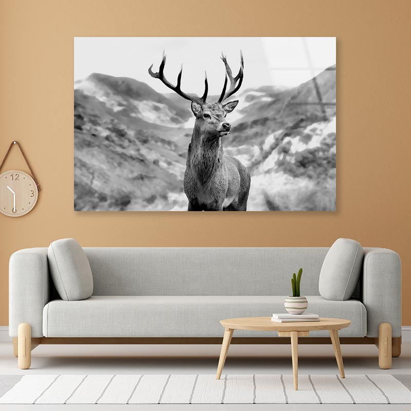 Black & white Deer Acrylic Glass Print Tempered Glass Wall Art 100% Made in Australia Ready to Hang