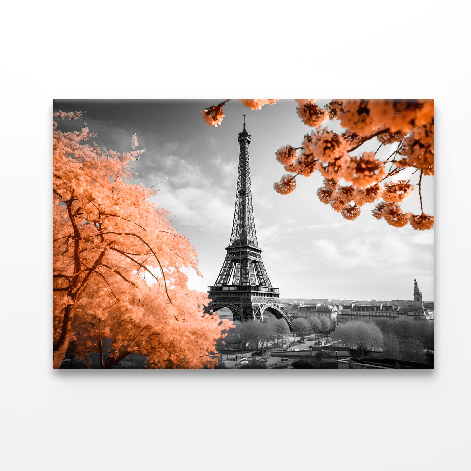 Black Peach Eiffel Tower Acrylic Glass Print Tempered Glass Wall Art 100% Made in Australia Ready to Hang