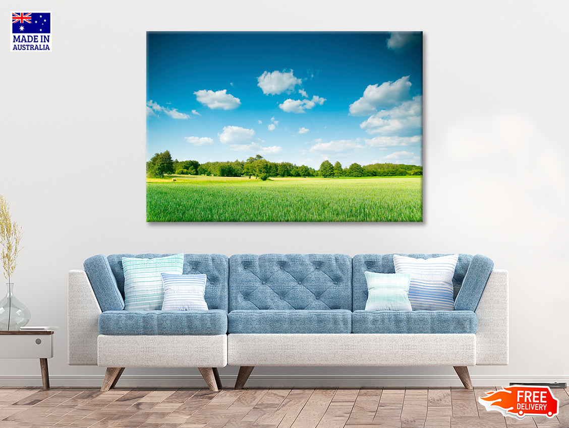 A Large Green Field with Trees under a Blue Sky Print 100% Australian Made