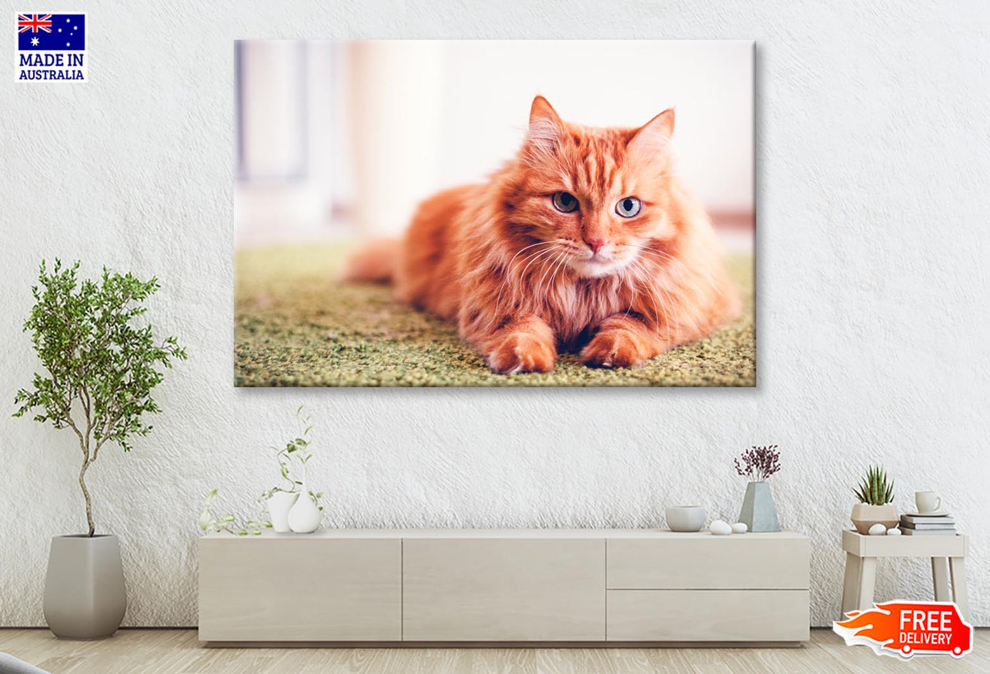 Beautiful Red Fluffy Cat with Green Eyes Wall Art Decor 100% Australian Made