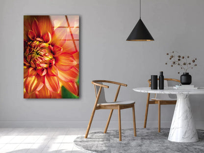 Orange Flower Closeup UV Direct Aluminum Print Australian Made Quality