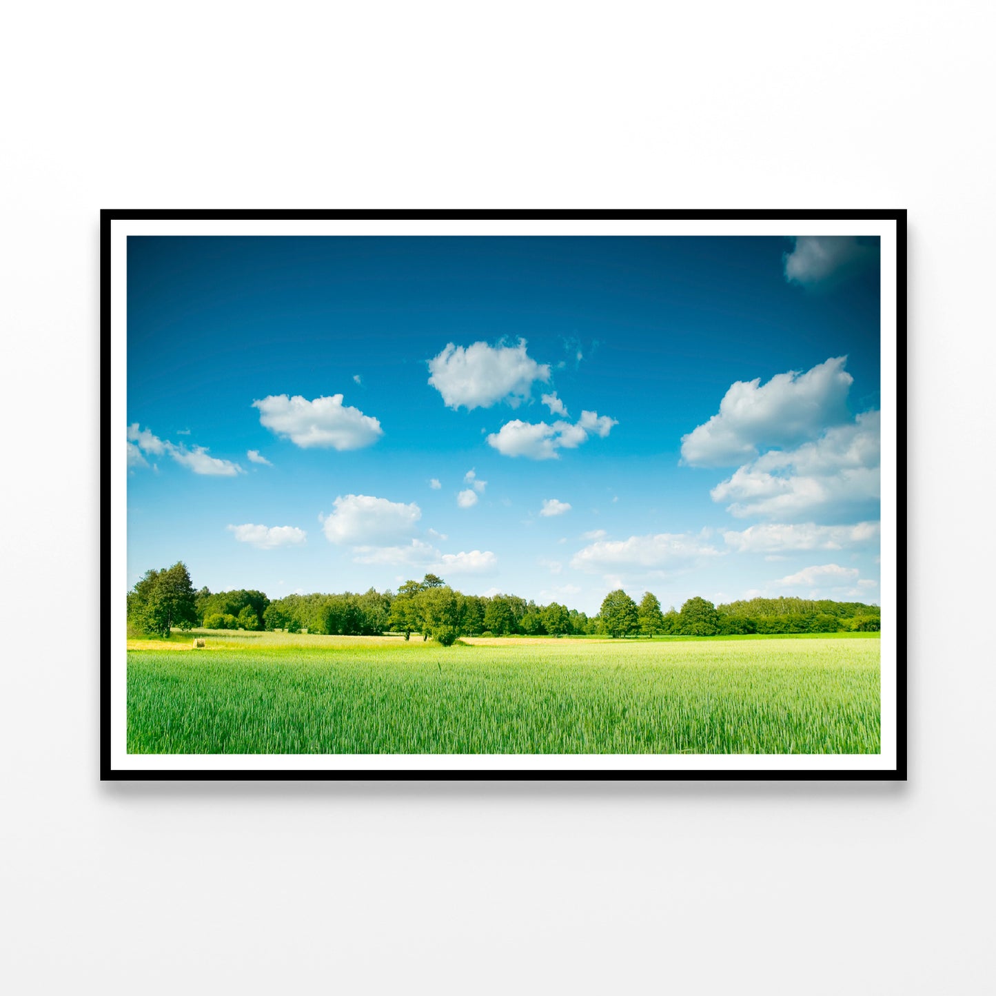 A Large Green Field with Trees under a Blue Sky Home Decor Premium Quality Poster Print Choose Your Sizes